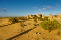 AUS - Pinnacles Desert o3126